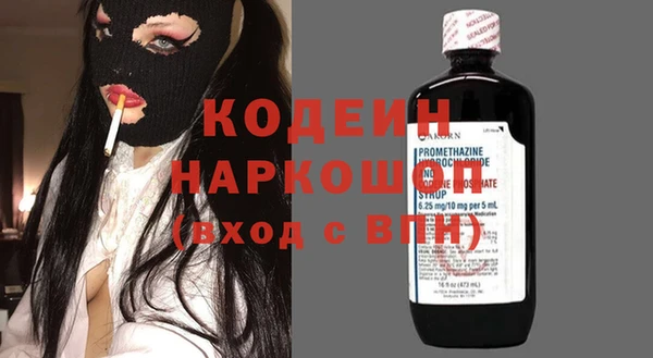 индика Балабаново