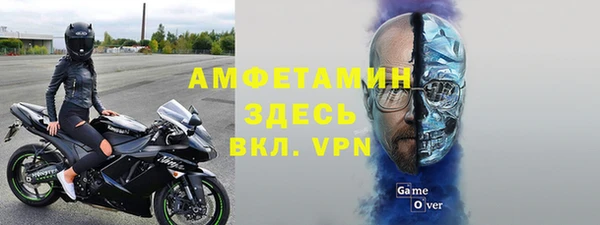 индика Балабаново