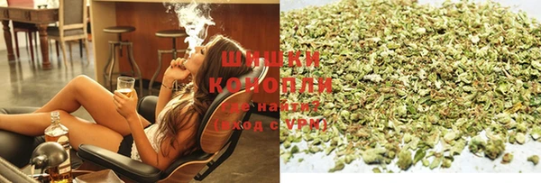 индика Балабаново