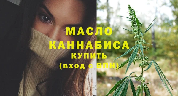 индика Балабаново