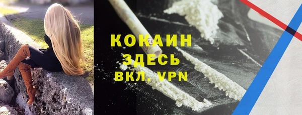 индика Балабаново