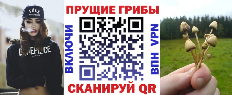 Псилоцибиновые грибы мицелий купить сайты Сегежа
